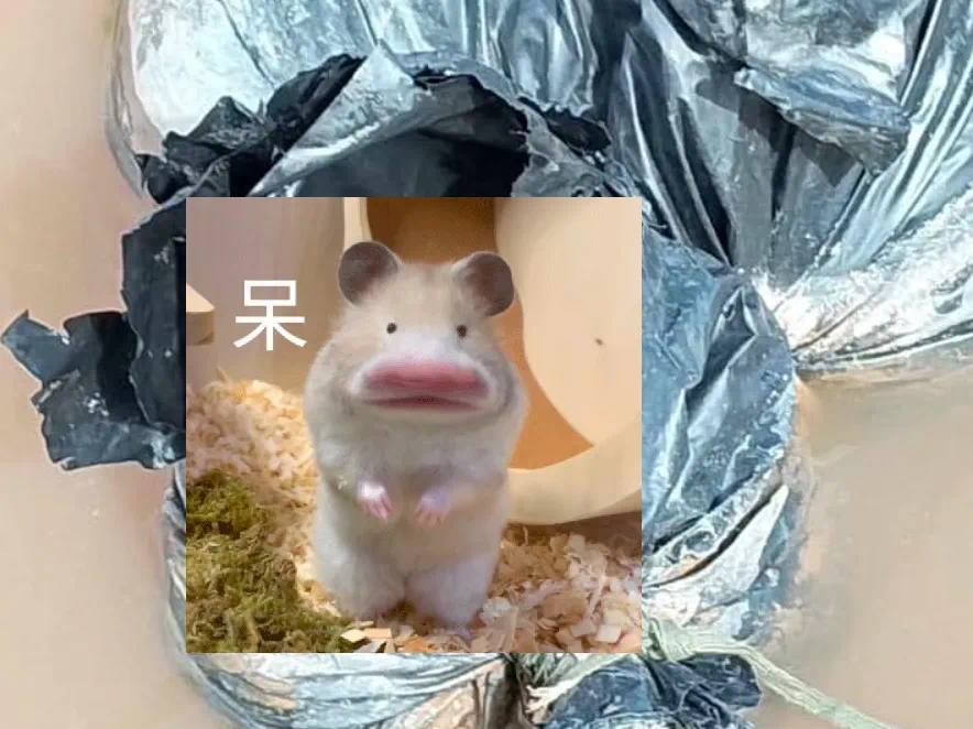 老泰边境湄公河惊现恶性凶杀案 死者遭虐杀后绑水泥柱抛尸-博彩白菜网-博彩论坛-白嫖论坛